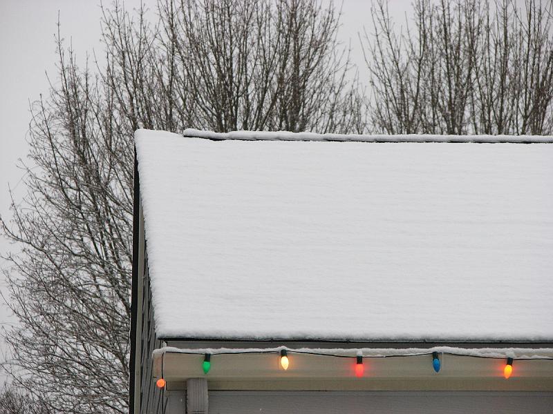 2008-12-07_First_Snow 022.jpg